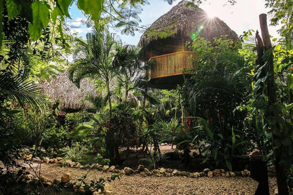 Вилла El Oasis Плайя-Гранде Экстерьер фото
